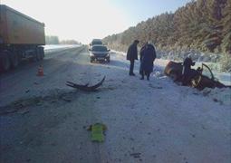 Ищу свидетелей ДТП, Кемерово 05.01.2019 09:00 (3437)