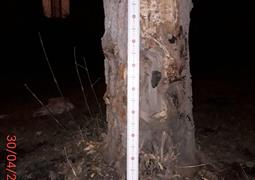 Ищу свидетелей ДТП, Челябинск 30.04.2019 22:30 (3585)