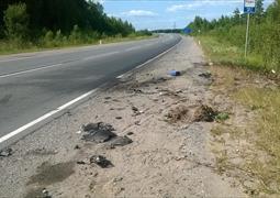 Ищу свидетелей ДТП, Санкт-Петербург 03.08.2014 06:00 (534)