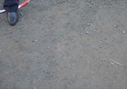 Ищу свидетелей ДТП, Санкт-Петербург 16.09.2014 21:39 (585)