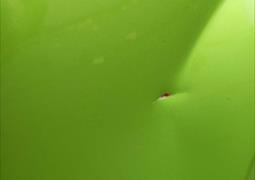 Ищу свидетелей ДТП, Краснодар 12.11.2025 22:21 (6755)