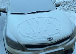 Угнан Kia Белый Санкт-Петербург 09.02.2021 23:41 (1206)