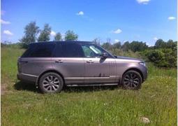 Угнан Land Rover Бежевый металлик Челябинск 24.03.2015 04:00 (176)